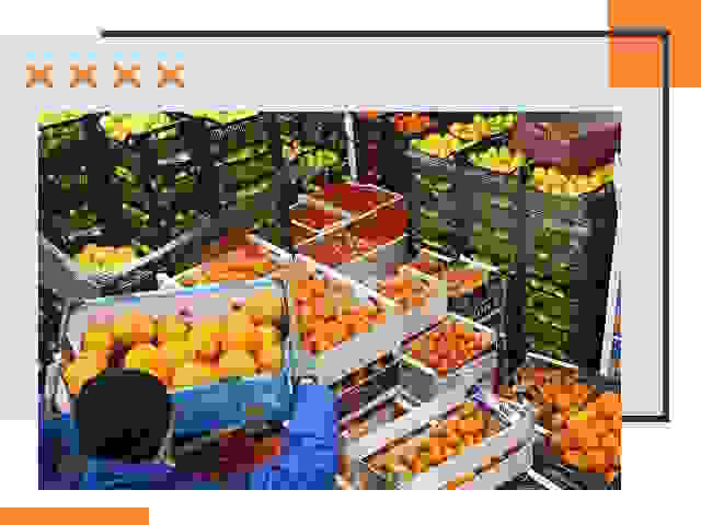 Перевозка скоропортящихся продуктов в Ярцево